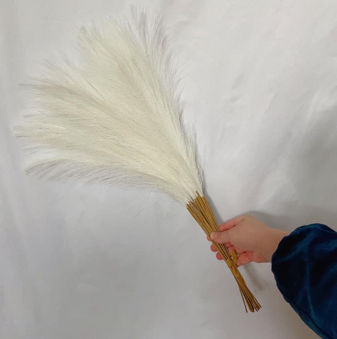 55cm grama de pampas nórdico boho decoração artificial pop reed simulação grama de junco